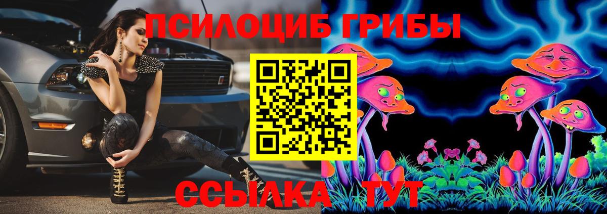 Галлюциногенные грибы Magic Shrooms  Вход с VPN  Городец  Галлюциногенные грибы Psilocybe 