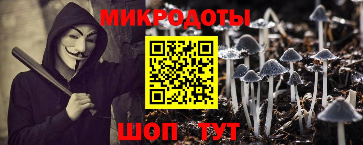 Псилоцибиновые грибы Cubensis Городец
